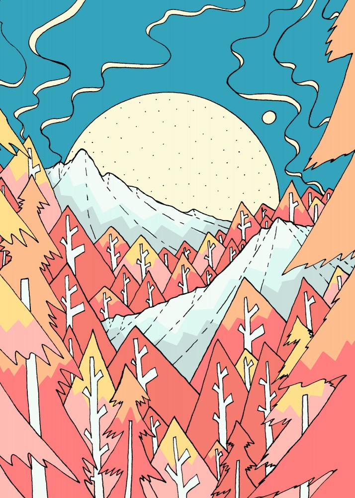 White mountain forest