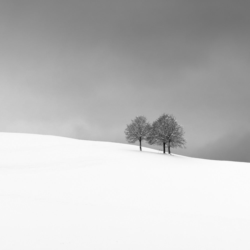 Mountaineers