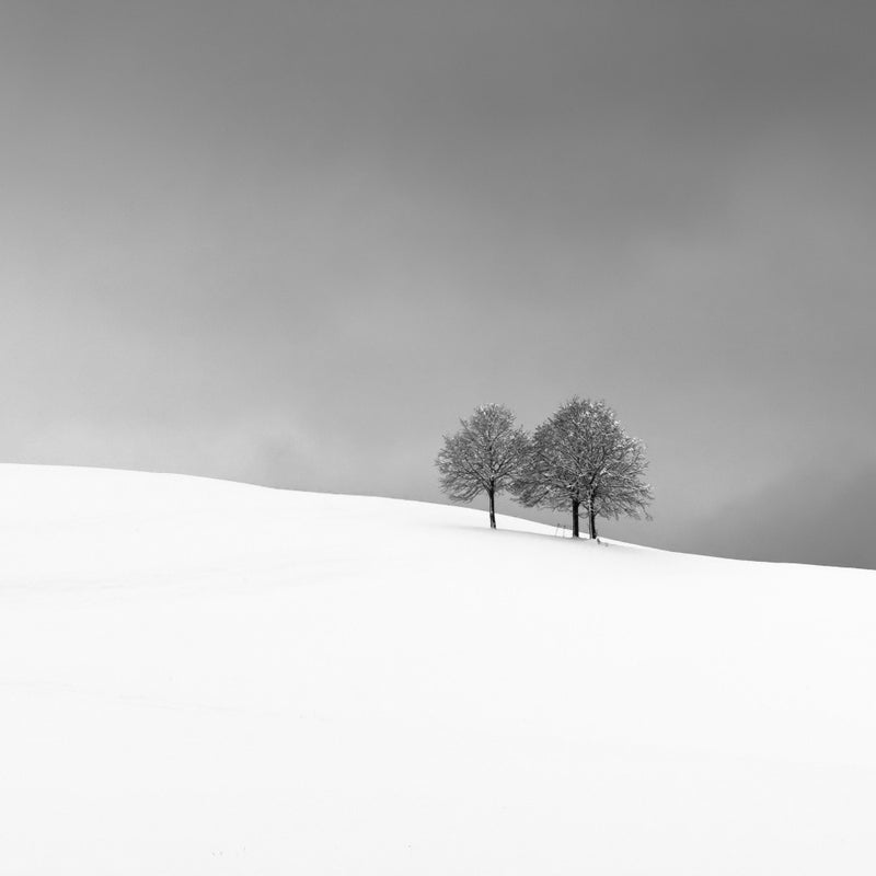Mountaineers