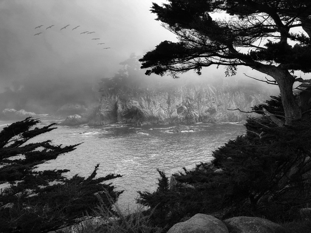 Foggy Morning Central Coast