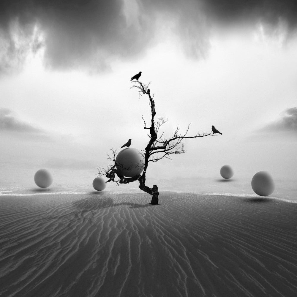 Silent Sentinels