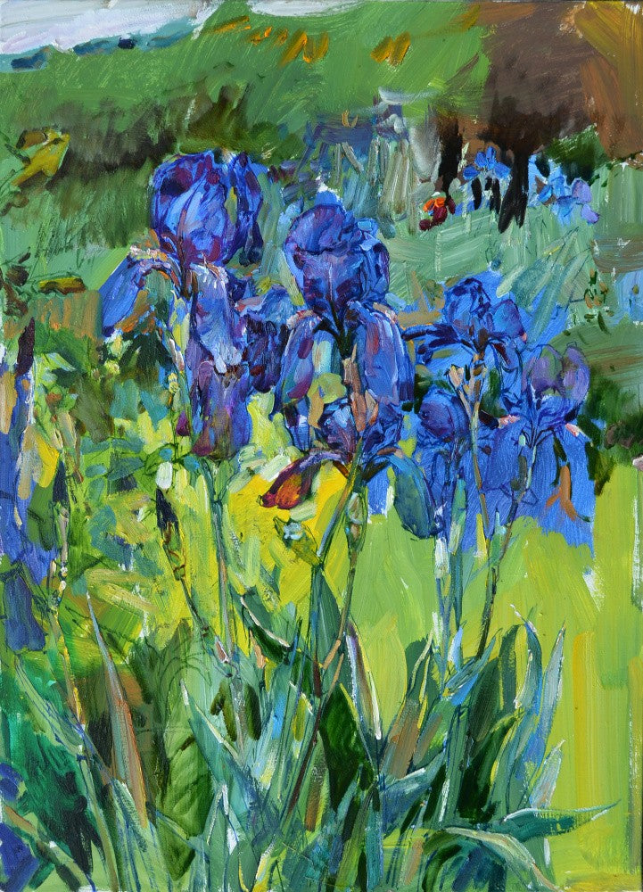 Irises