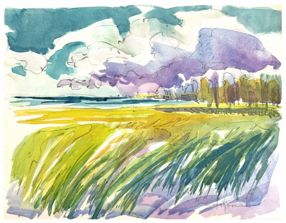 Serene Meadow Skies