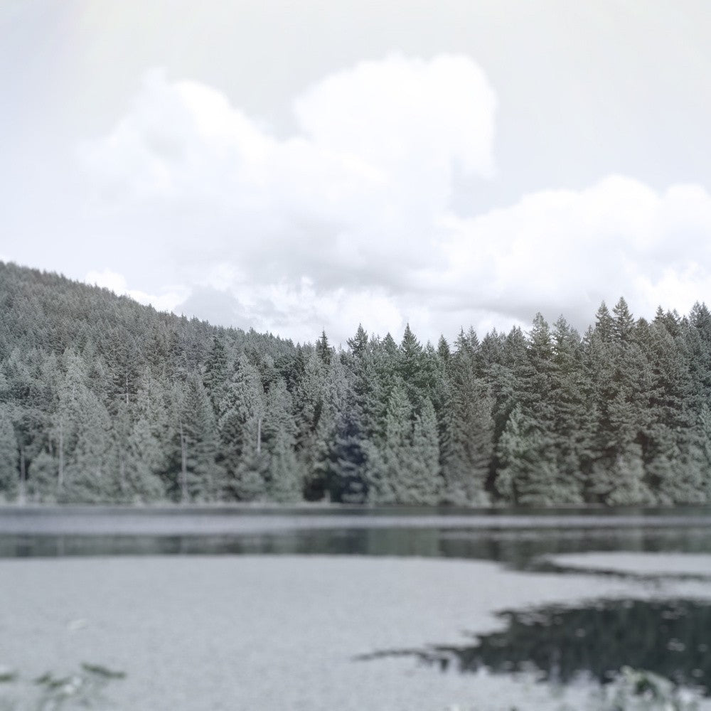 Whispering Waters