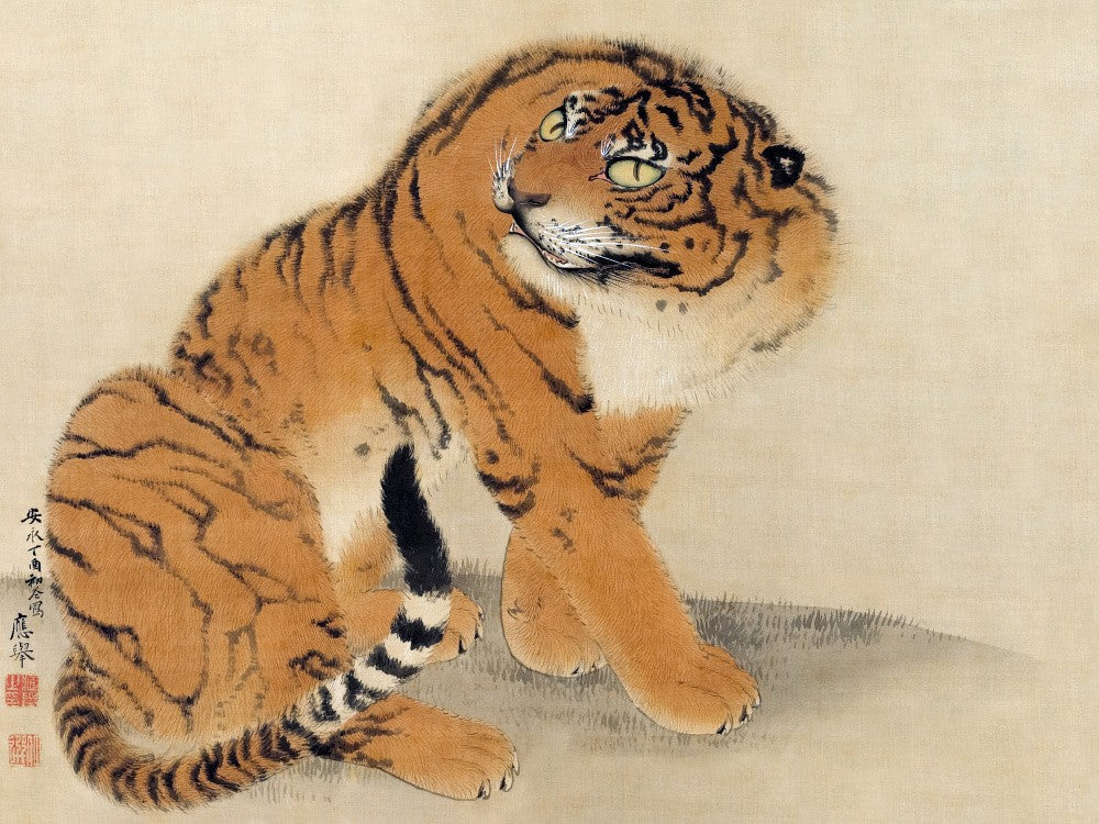 Tigre assis (1777)