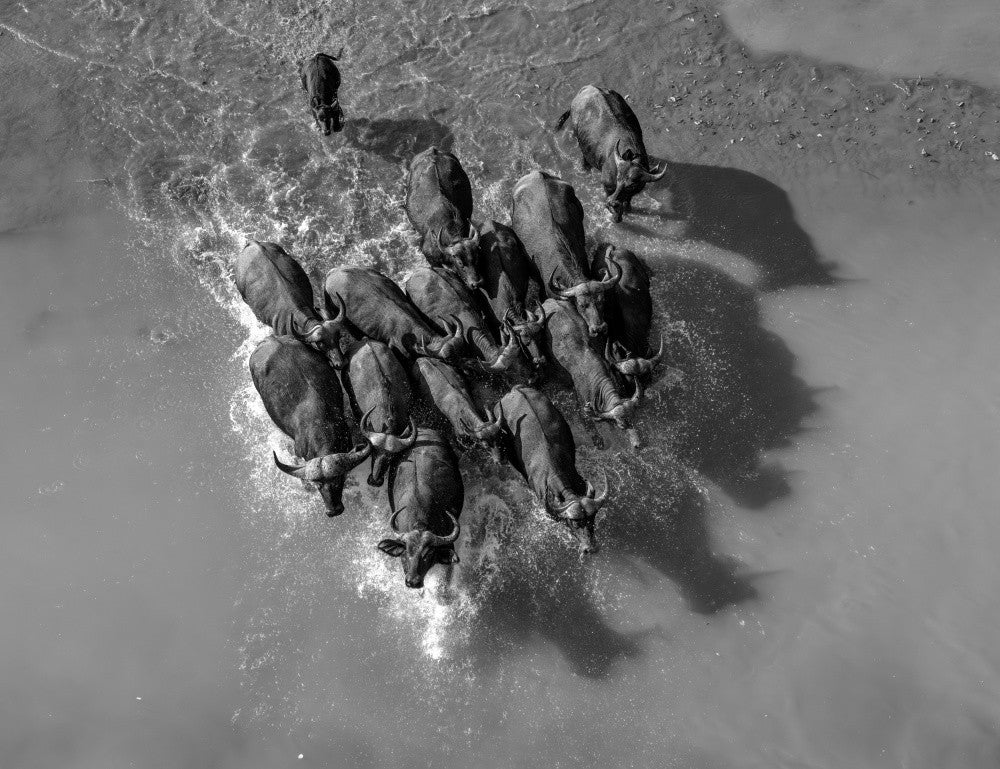 Crossing the River