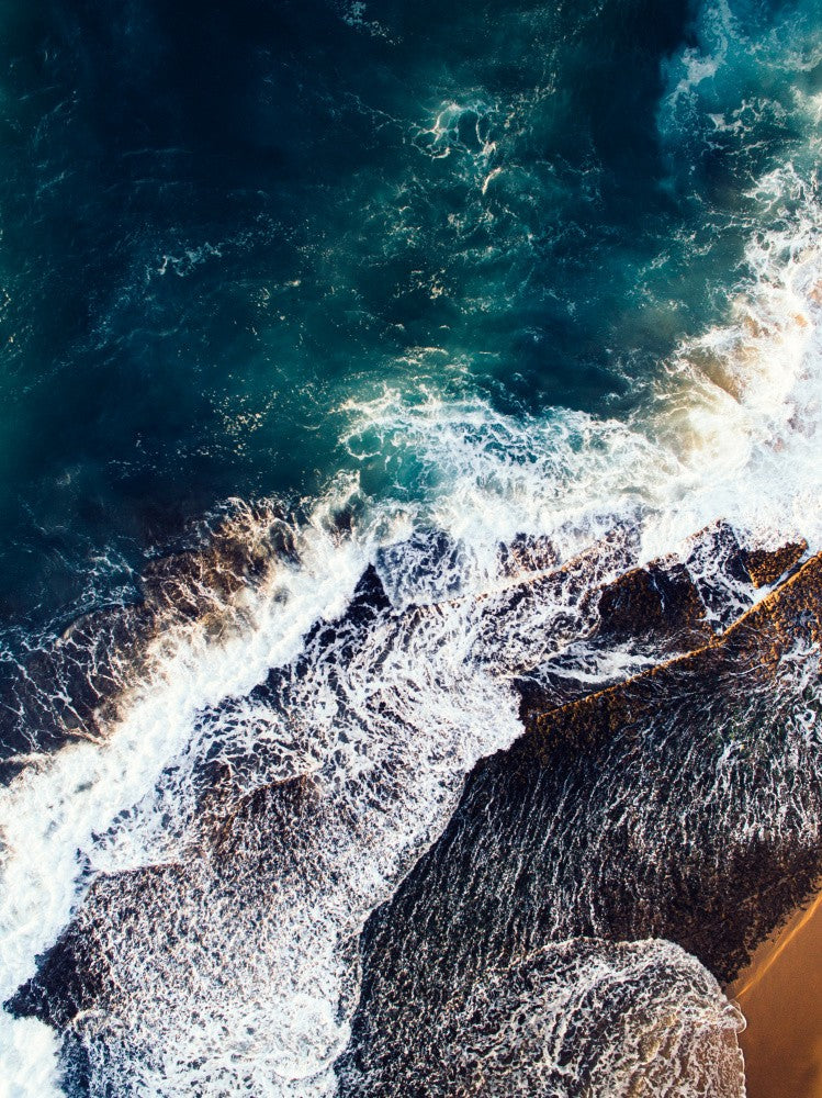 Ocean's Embrace