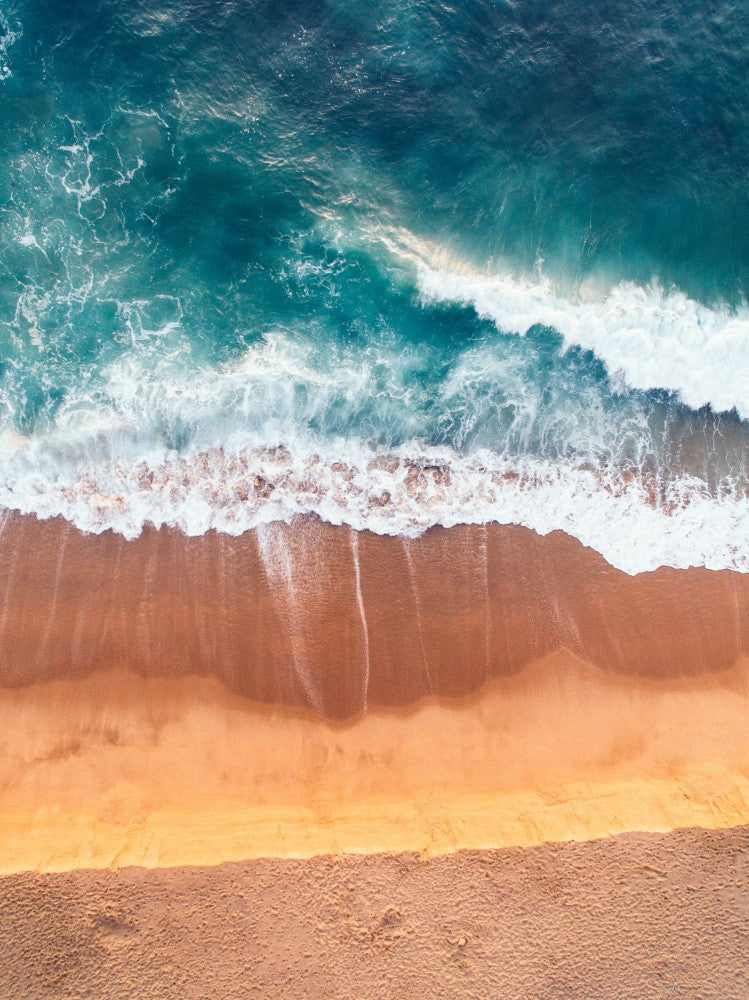Shoreline Symphony