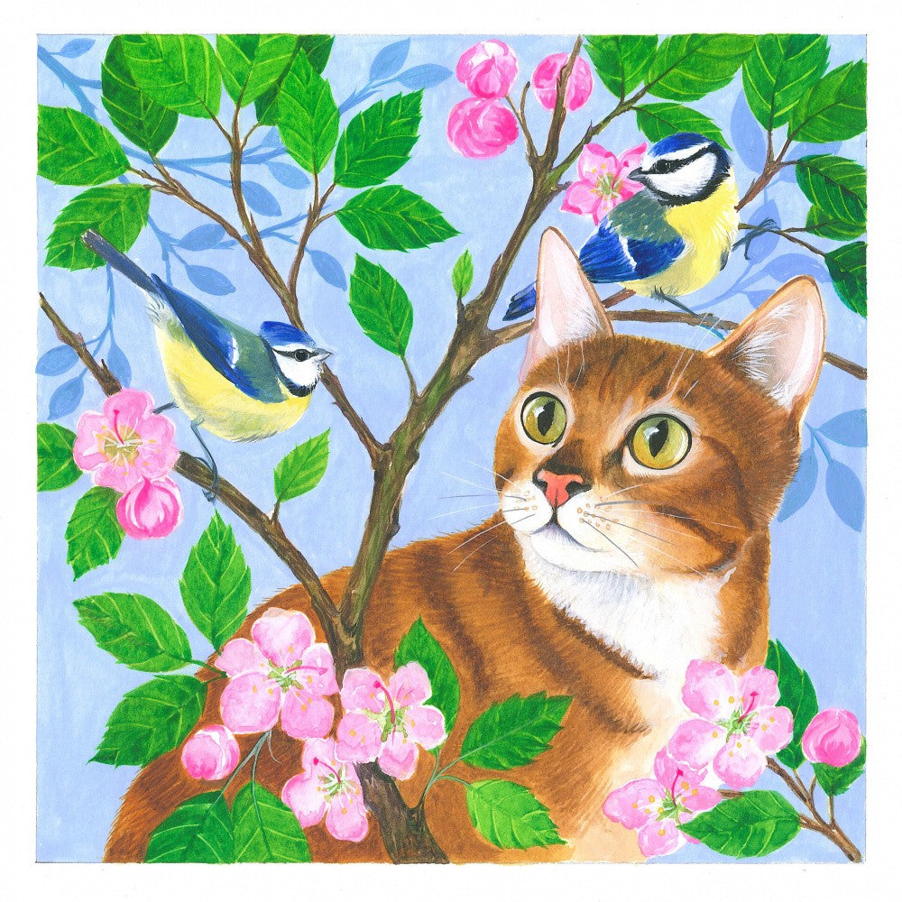 Blossom Companions