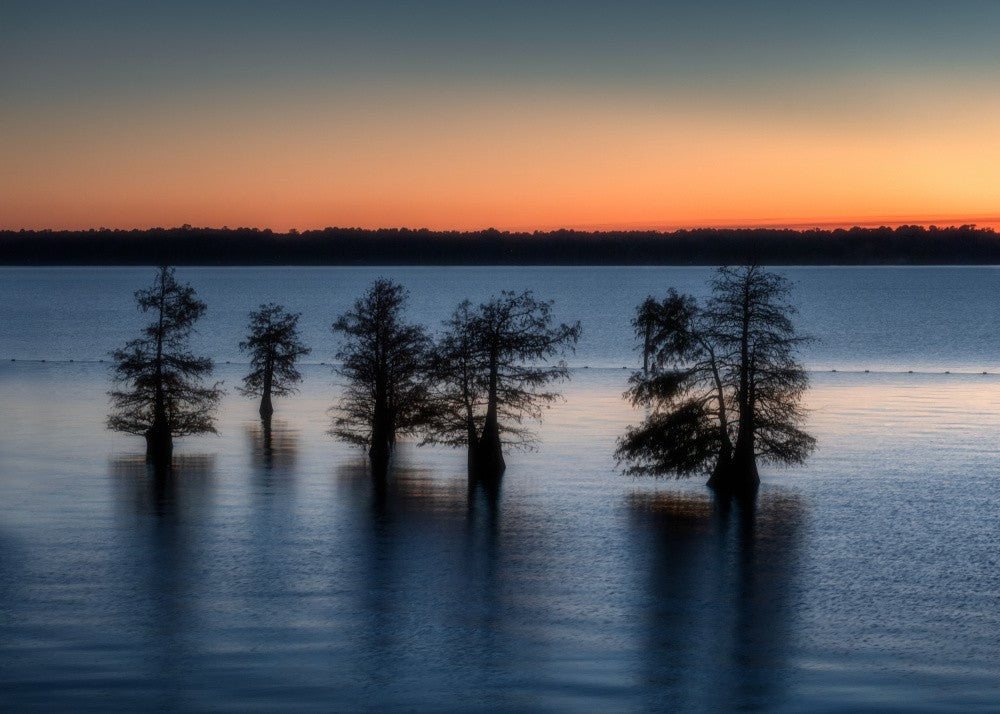 Dusk at Caddo Lake