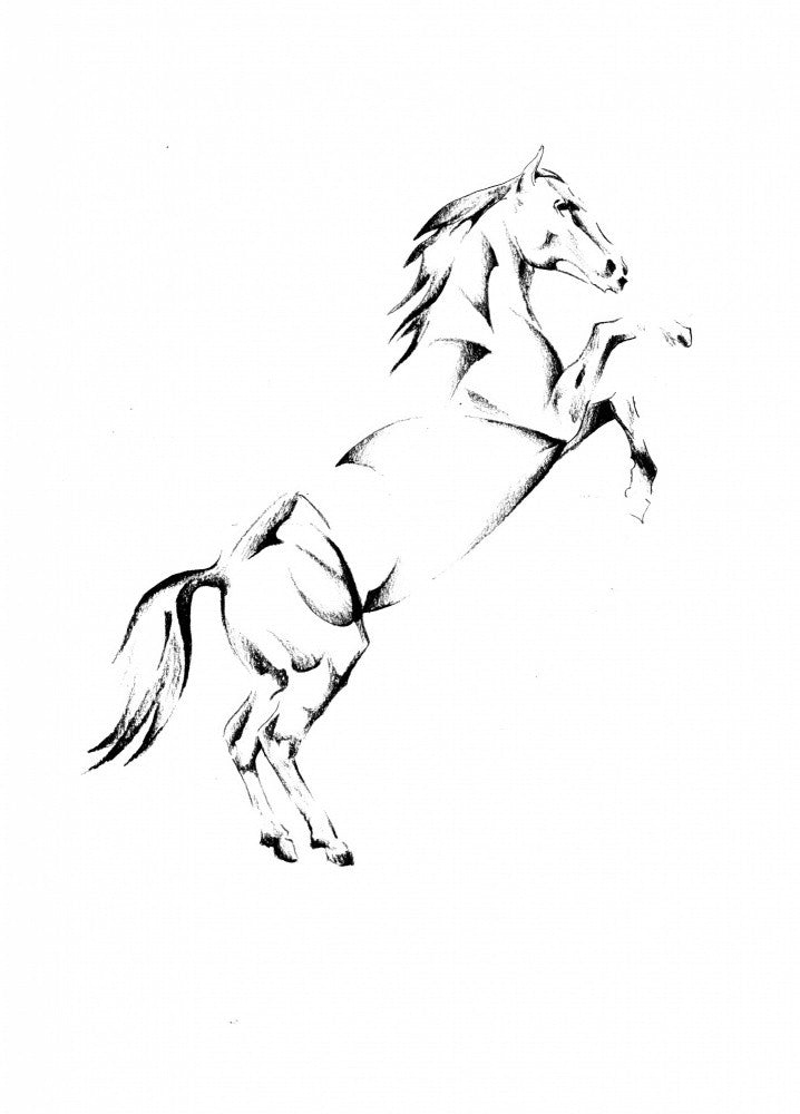 Horse 18
