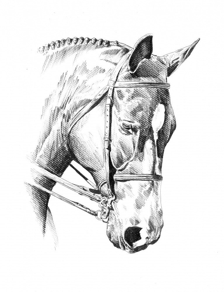 Cheval 29