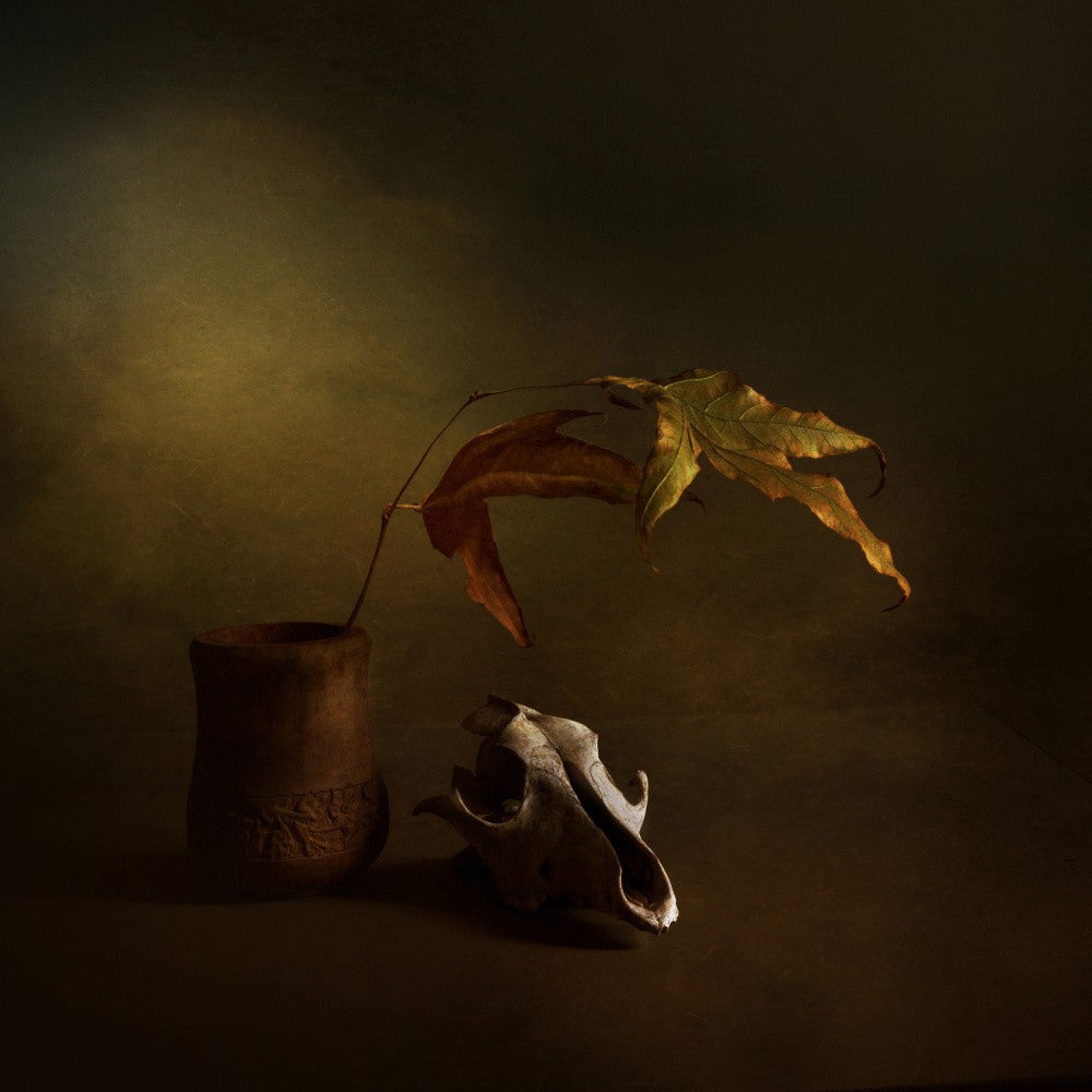 Herbstmelancholie