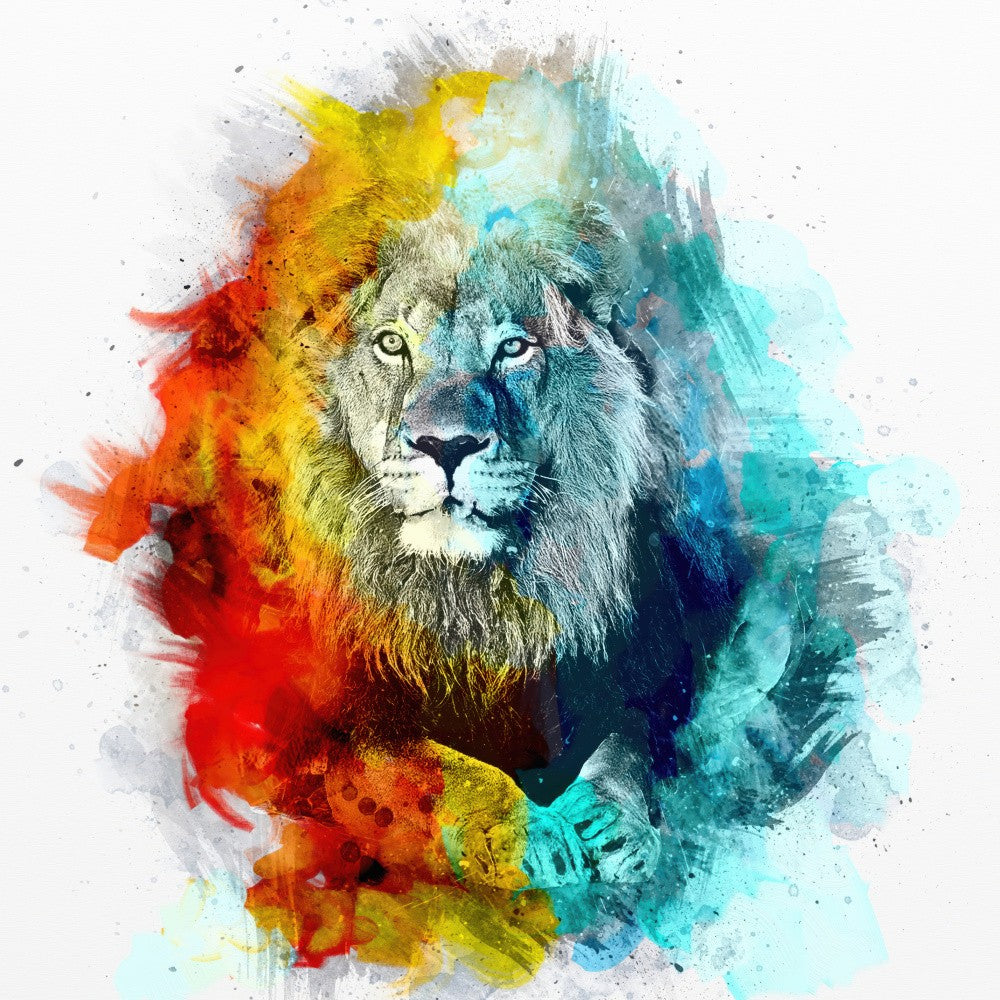 Lion 3