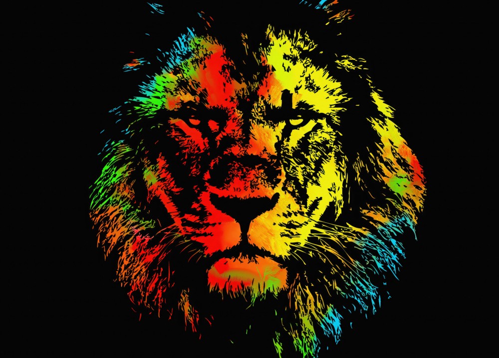 Lion 4