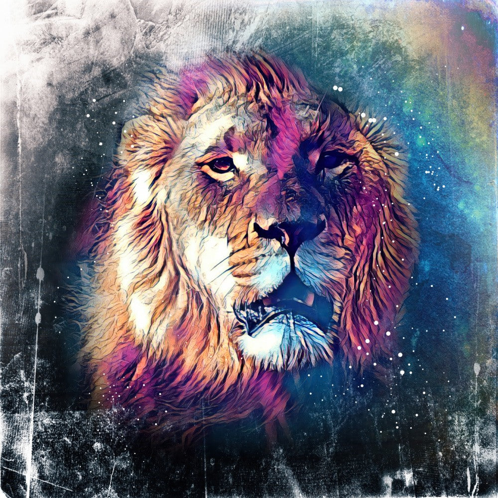 Lion 9