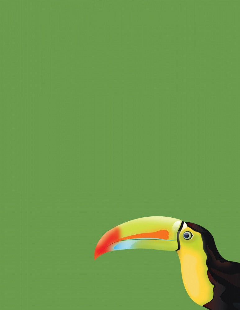 Toucan's Vivid Stare
