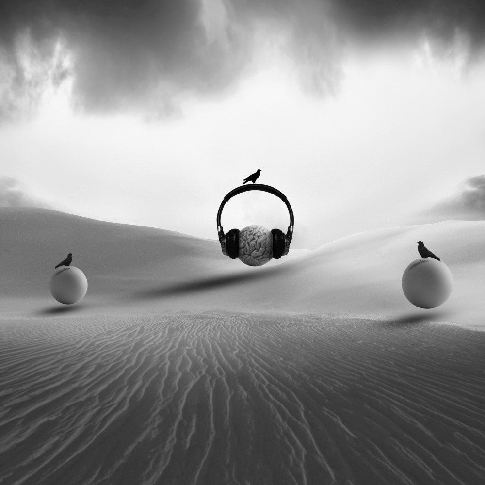 The Lone Listener