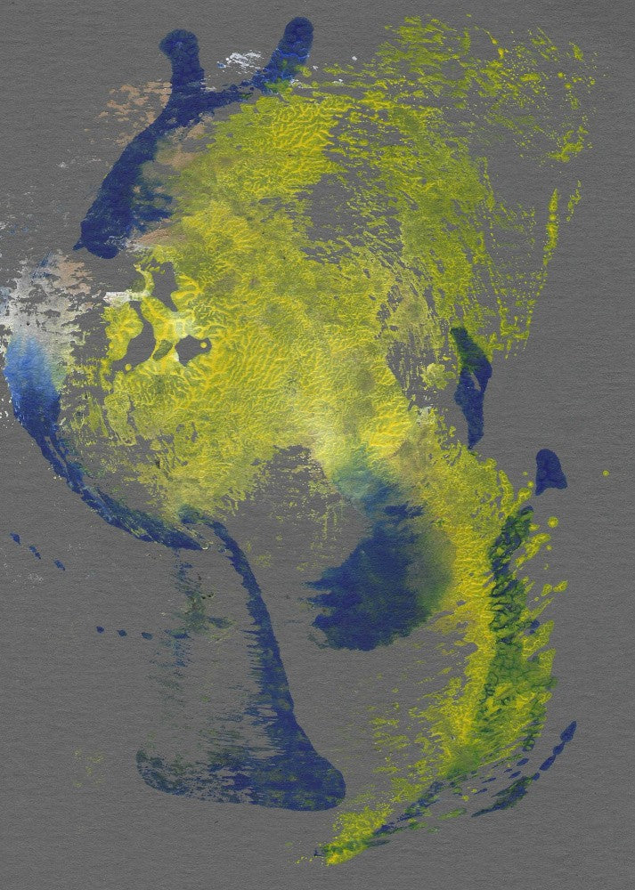 Abstract Field Echoes