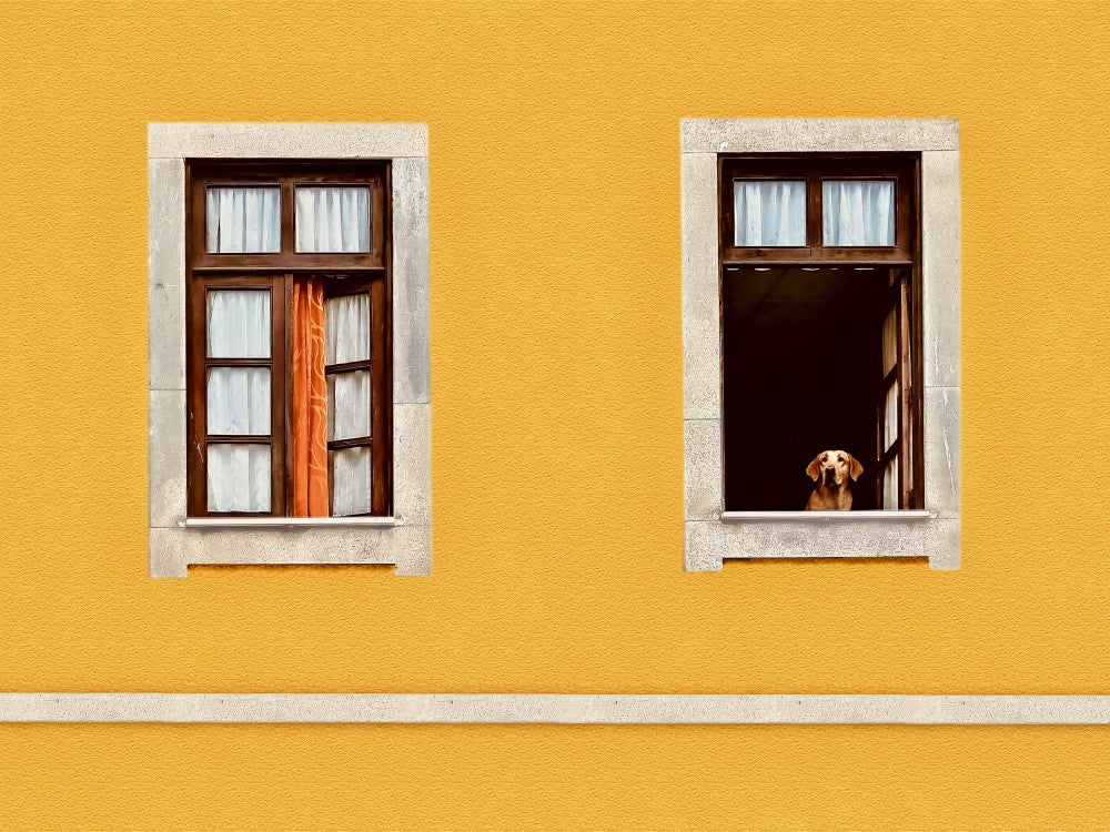Facade - Porto, Portugal