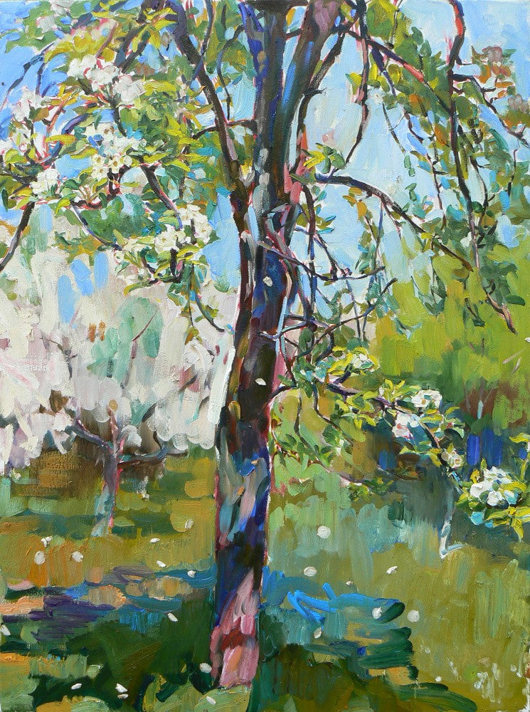 Pear tree blossom