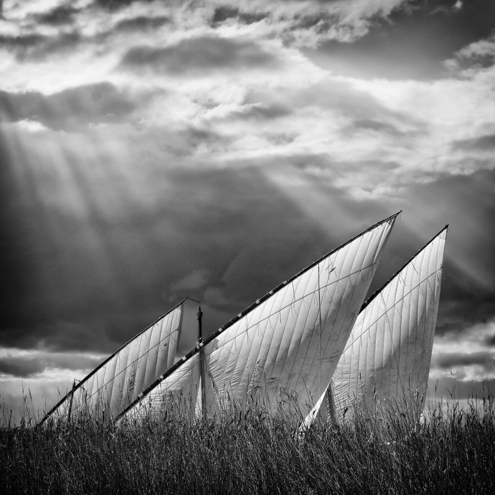 Sailboats and Light VI