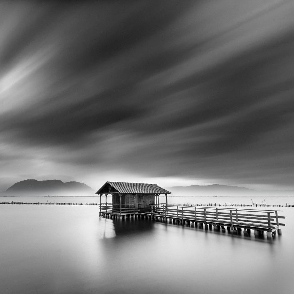 Shelter