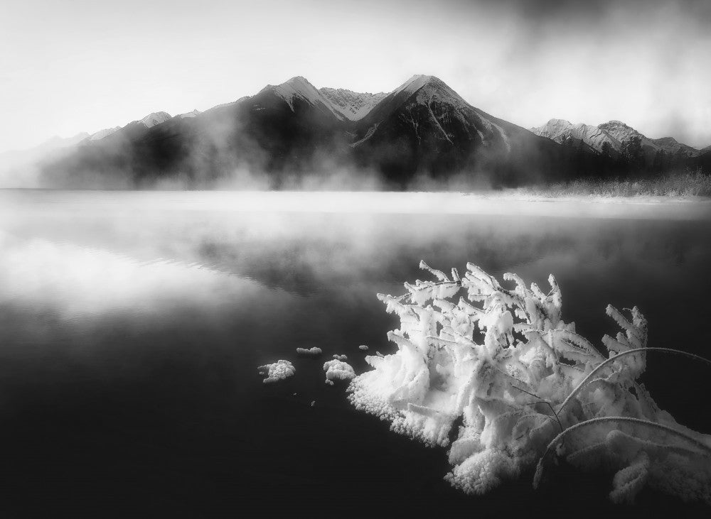 Winter’s  Embrace