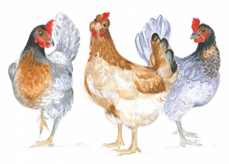 Cackling Hens