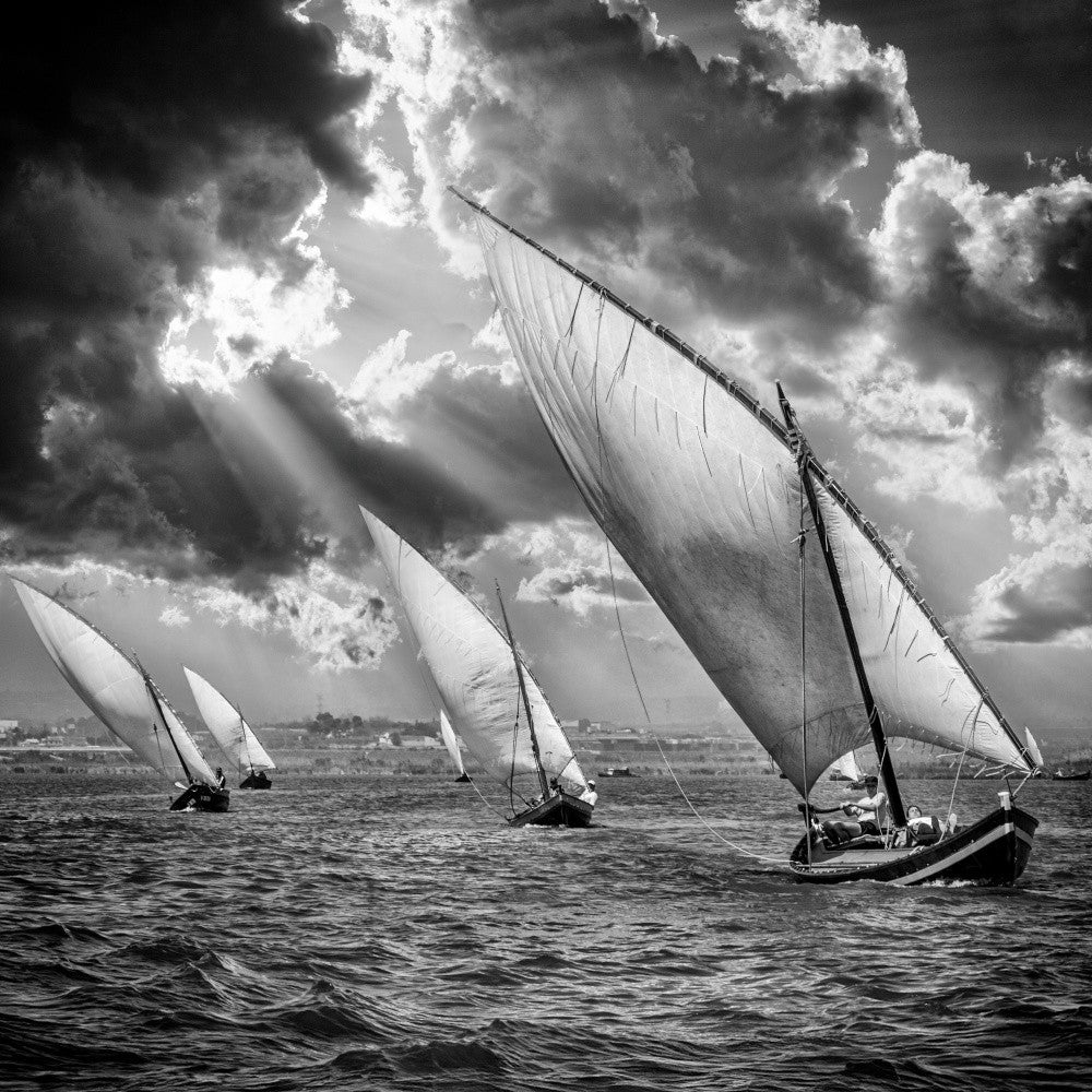 Sailboats and Light IX