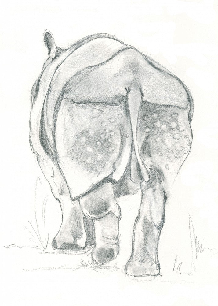 Rhino's Gentle Stride