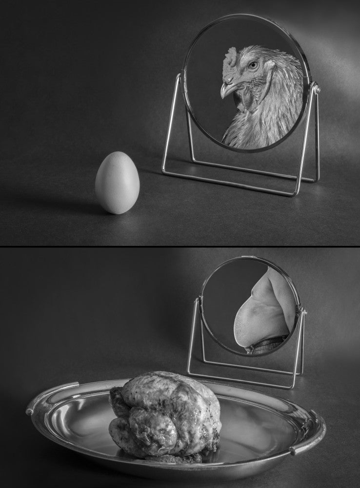 Evolution