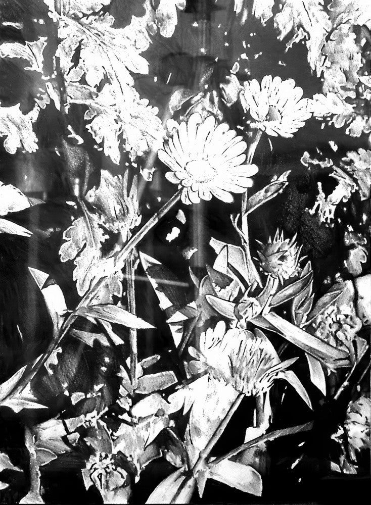 Floral Nature Art Drawing Sketch 4