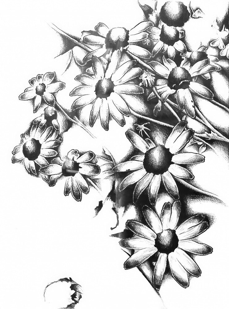 Floral Nature Art Drawing Sketch 6