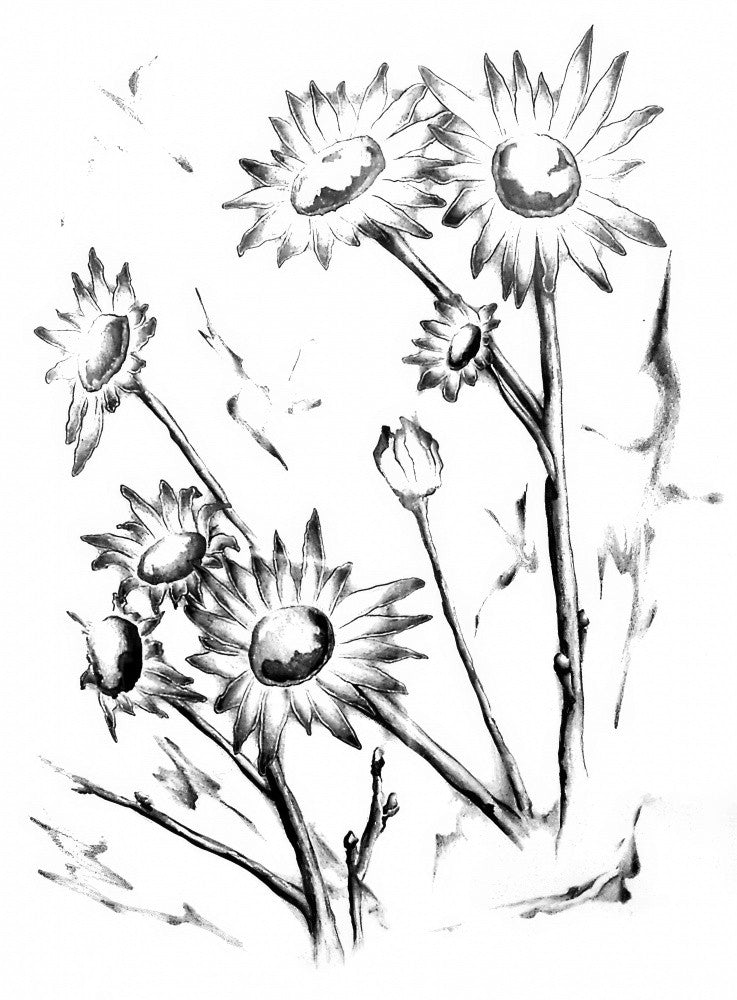 Floral Nature Art Drawing Sketch 7