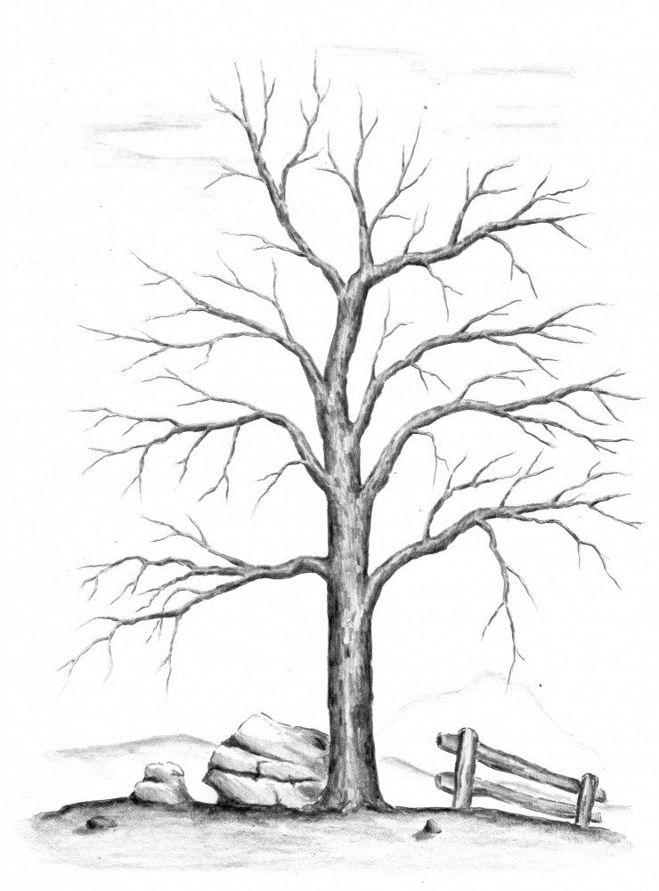 Floral Nature Art Drawing Sketch 34