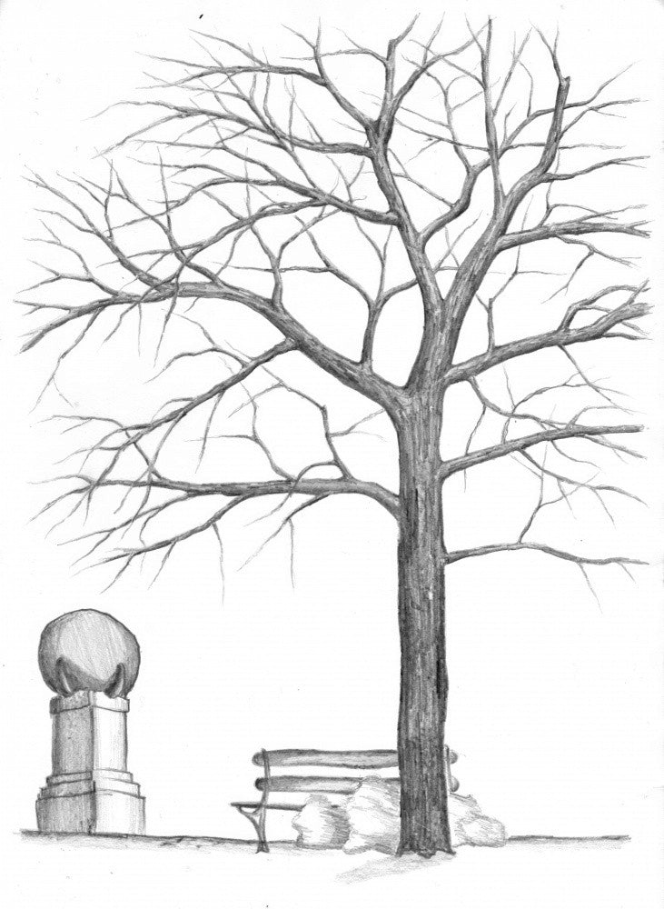Floral Nature Art Drawing Sketch 36