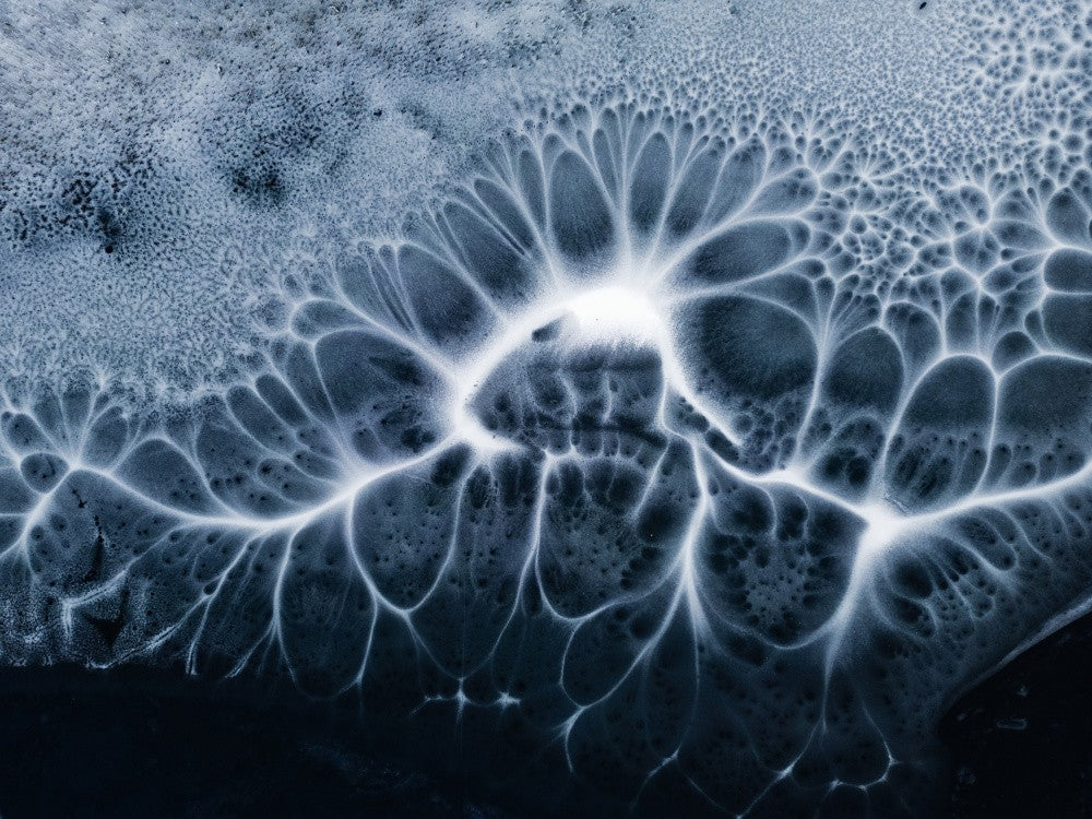 Neurons