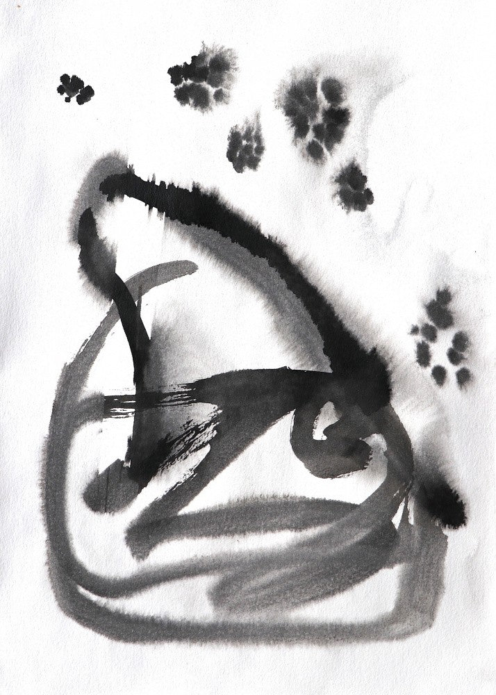 Abstract Whiskers