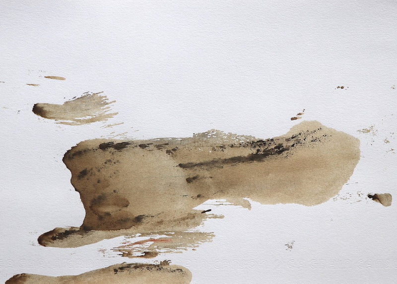 Mudslide Motion