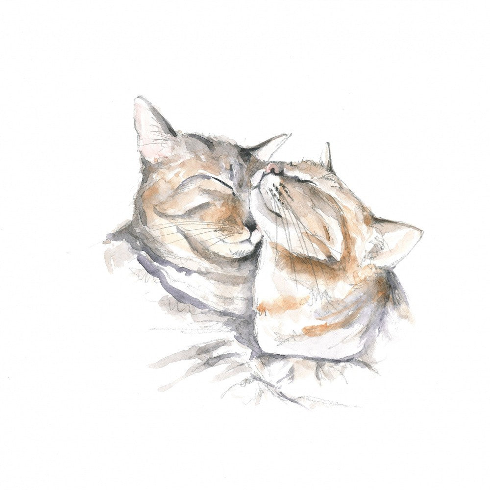Napping Cats