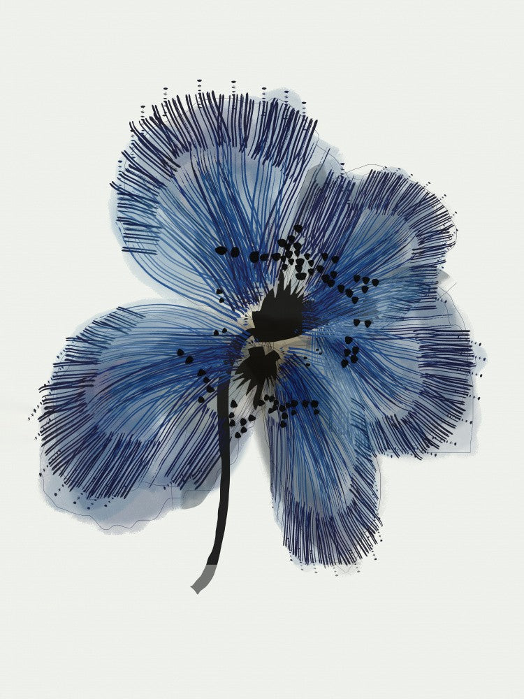Fleur bleue 1