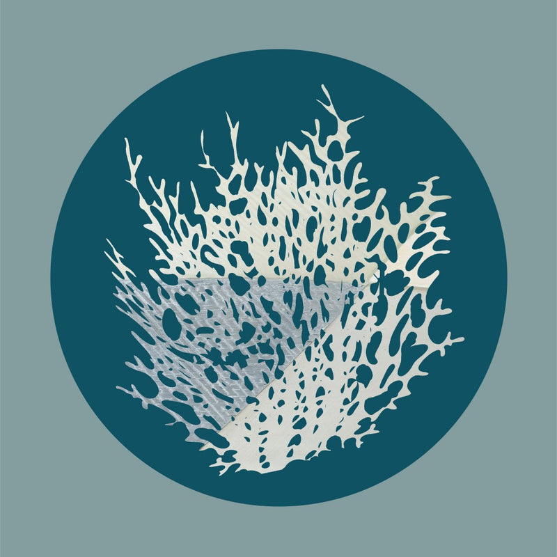 Deep Sea Coral 3