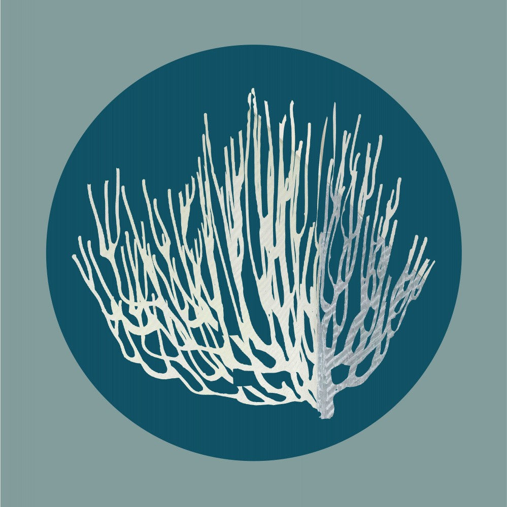 Corail des Profondeurs 2