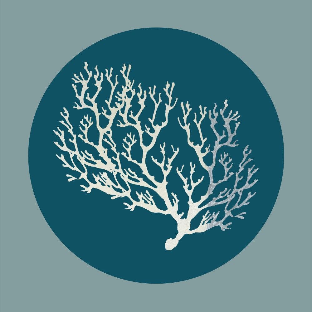 Deep Sea Coral 1