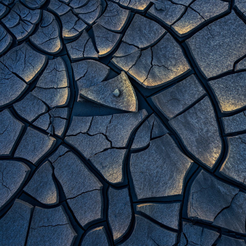 Nature's Mosaic