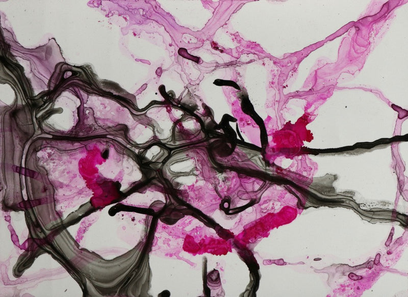 Veins of Magenta