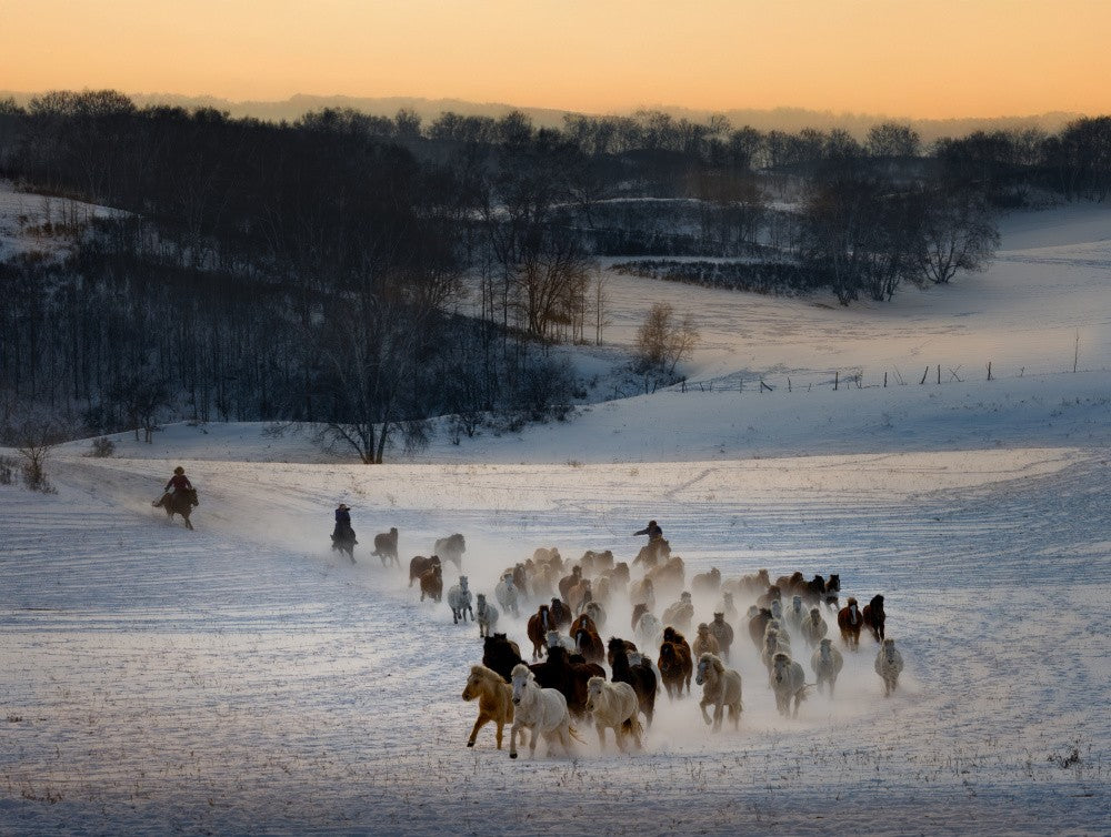 Horse racing 2