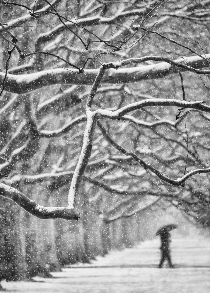 First snow