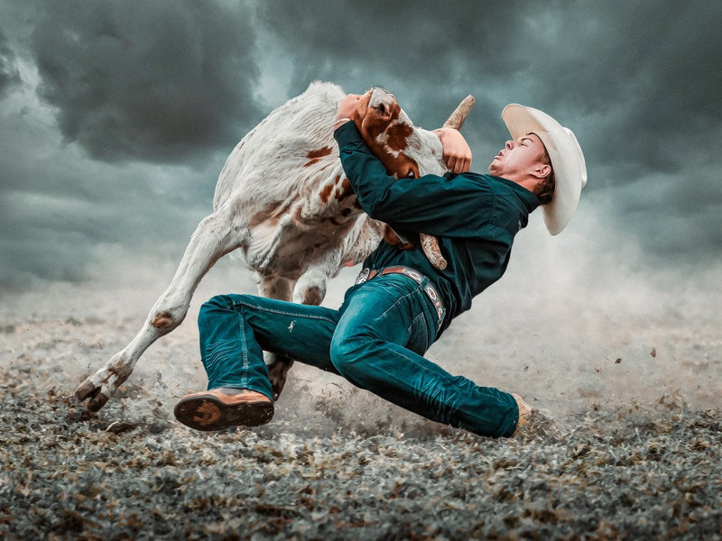 Taming the Untamed